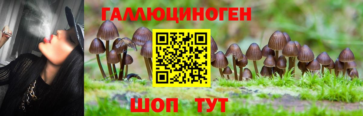 Галлюциногенные грибы Magic Shrooms Анапа